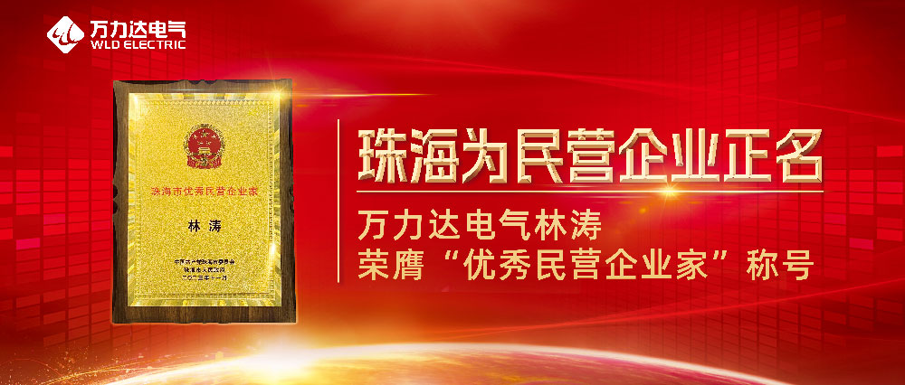 普洱为民营企业正名 永兴官网电气林涛荣膺“优良民营企业家”称号
