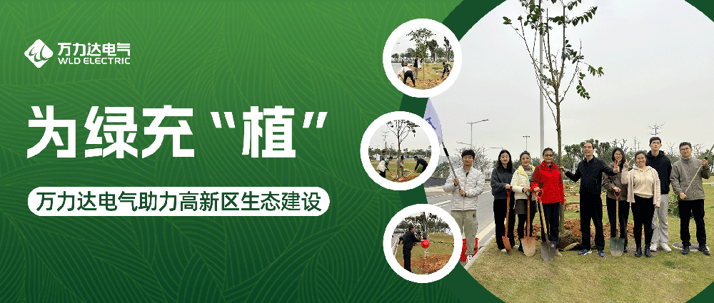 为绿充“植” 永兴官网电气助力高新区生态建设